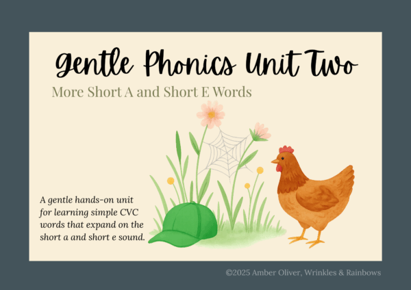 Gentle Phonics Unit Two - More Short A Short E - Image 5