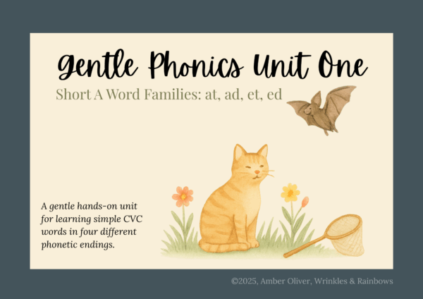 Gentle Phonics Unit One - at, et, ed, et - Image 9