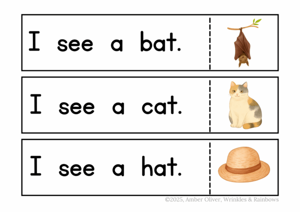Gentle Phonics Unit One - at, et, ed, et - Image 4