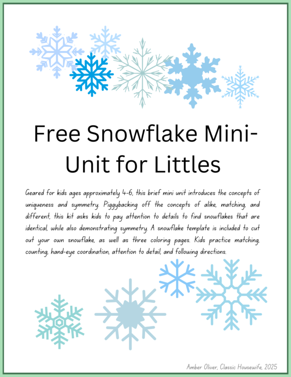 Free Snowflakes Mini Unit for Littles