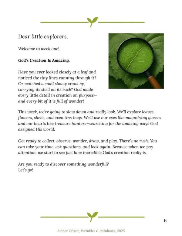 God's Amazing World - Unit 1 (Summer Learning) - Image 5