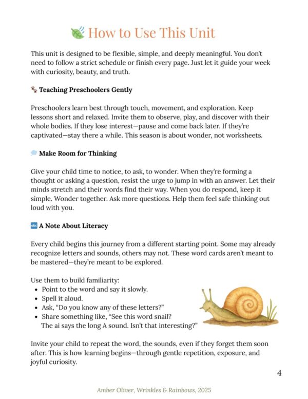 God's Amazing World - Unit 1 (Summer Learning) - Image 7
