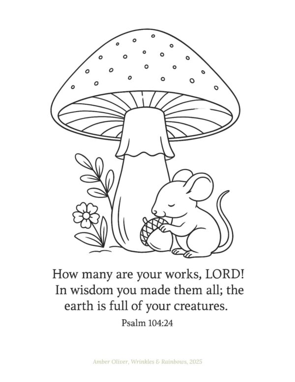 God’s Creation Is Amazing – Unit Two Extras Pack *Subscriber Only* - Image 5