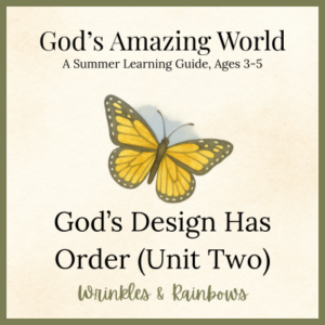 Gods Design has Order watercolor product image - Christian summer preschool science