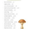 God's Amazing World - Unit 3 (Summer Learning) - Image 3