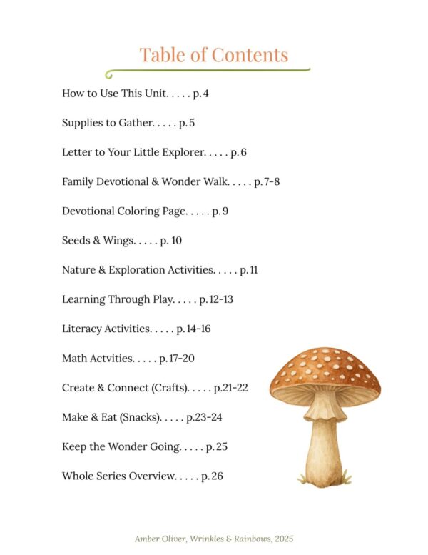 God's Amazing World - Unit 3 (Summer Learning) - Image 3