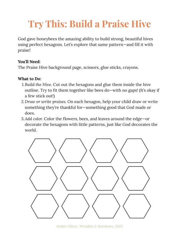 God’s Creation Is Amazing – Unit Two Extras Pack *Subscriber Only* - Image 4