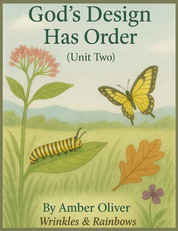 God’s Amazing World - Unit 2 (Summer Learning) - Image 7