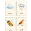 God's Amazing World - Unit 3 (Summer Learning) - Image 6