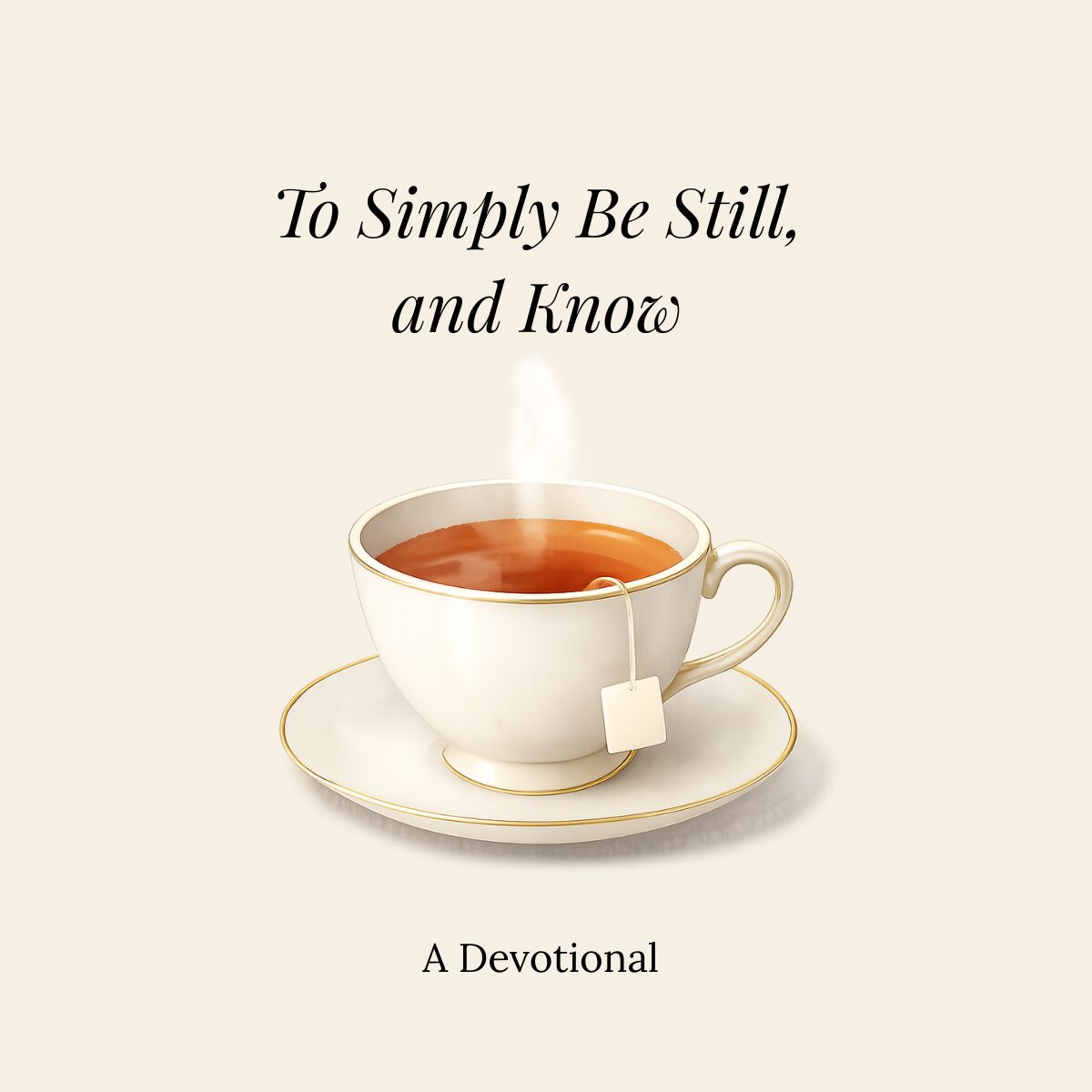 Be Still and Know Devotional Product image